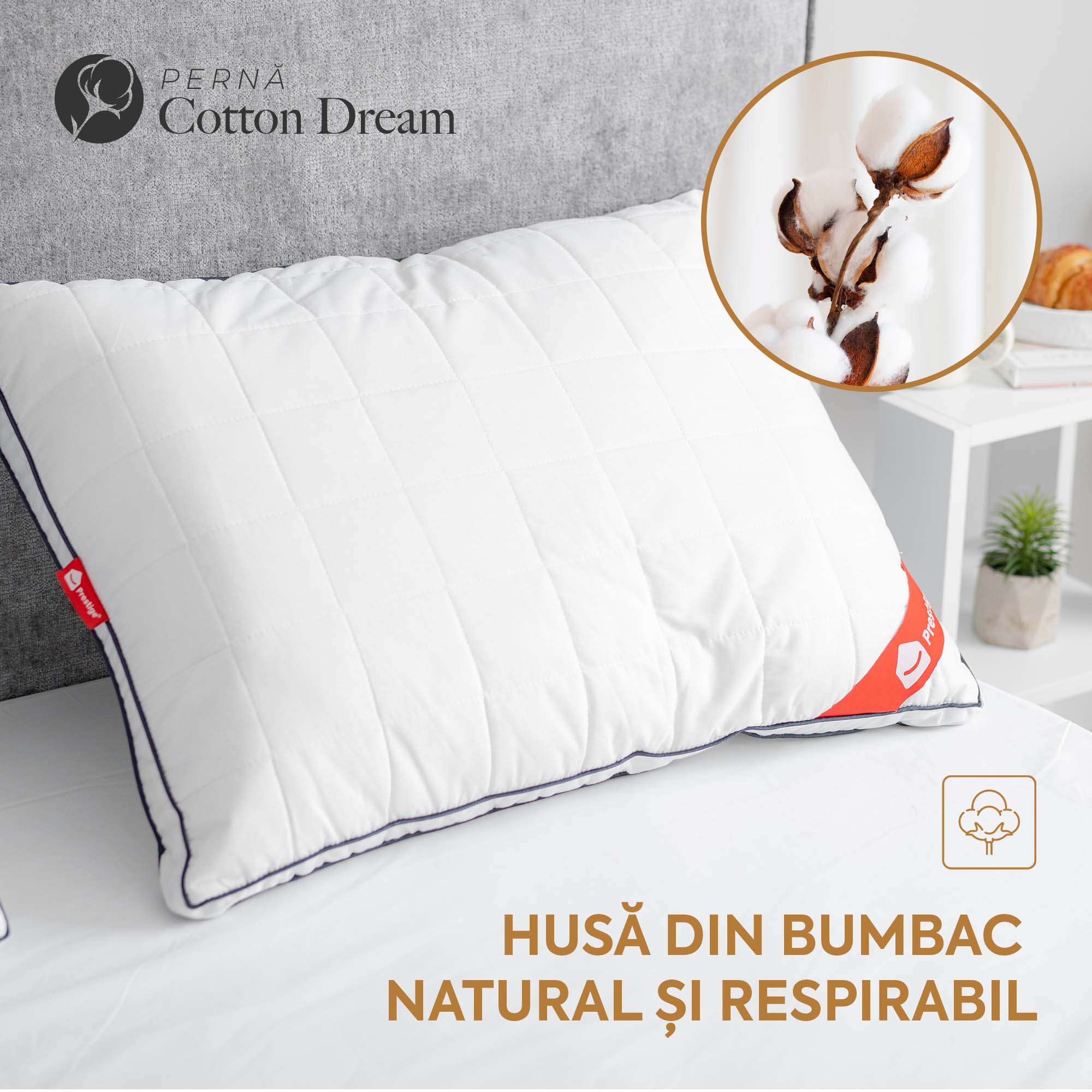 Set 2 x Perne Cotton Dream cu microfibră, husă bumbac, 50x70 cm-Seturi Perne-Prestige Home-Prestige Home