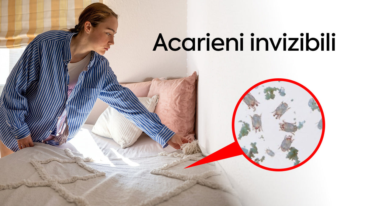 Acarienii de pat - tipuri, metode de combatere si preventie