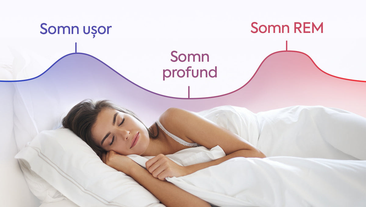 Ciclurile de somn | Cand sa te culci ca sa te odihnesti profund?