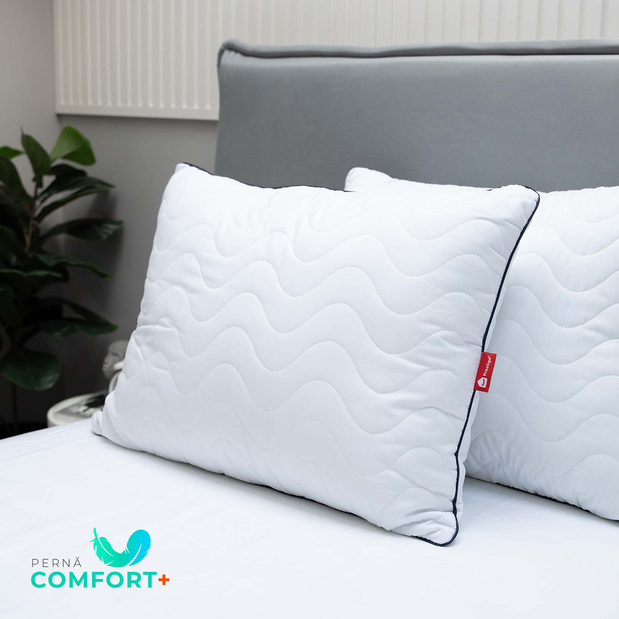 Pachet Comfort Plus Double